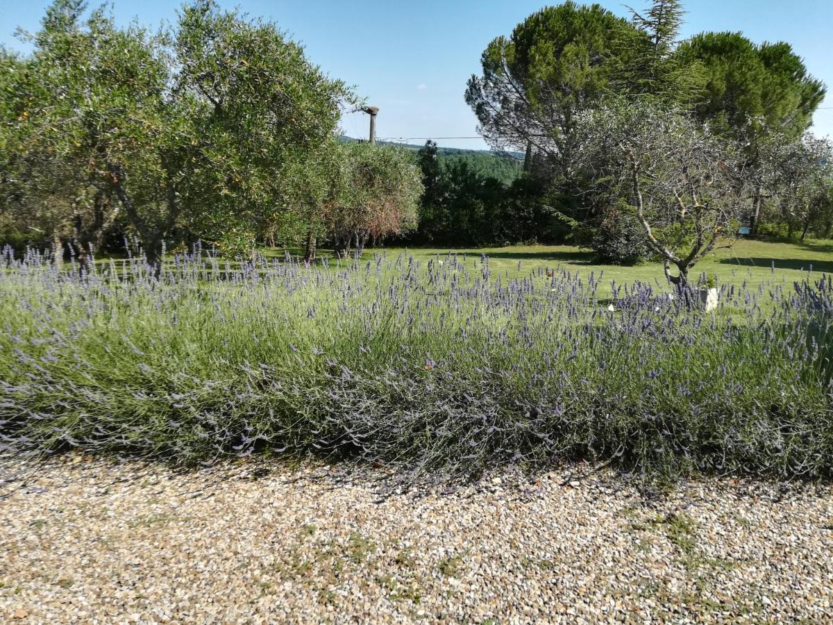 Casa In Collina Apartment Siena Exterior photo